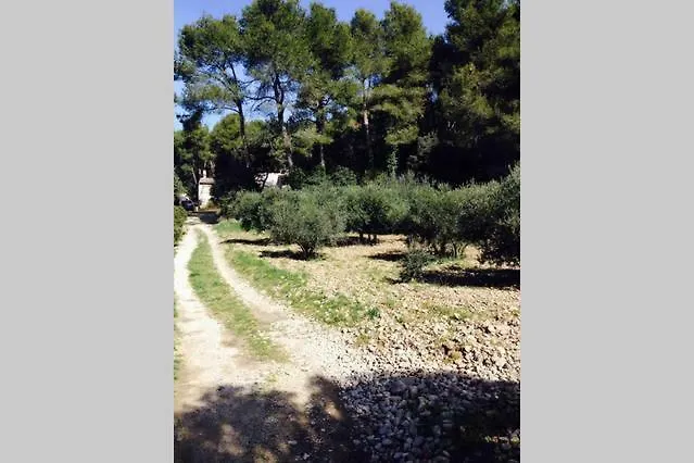 Shanti House Luberon Cheval-Blanc 0*,